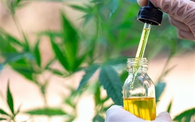CBD moyining 9 sog'liq uchun foydalari - va yon ta'siri