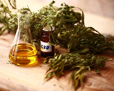 CBD qanday ishlaydi?
