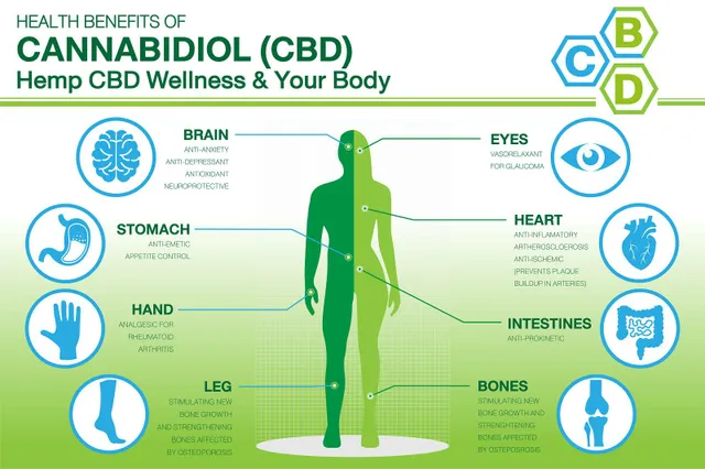 CBD moyining sog'liq uchun eng yaxshi 5 ta foydasi - va yon ta'siriga qarash