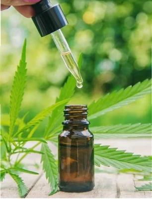 CBD ni sinab ko'rishdan oldin nimani bilishingiz kerak
