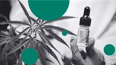 Kenevir va CBD: farqi nimada?
